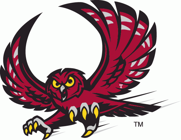 Temple Owls 1996-Pres Alternate Logo v2 iron on transfers for clothing